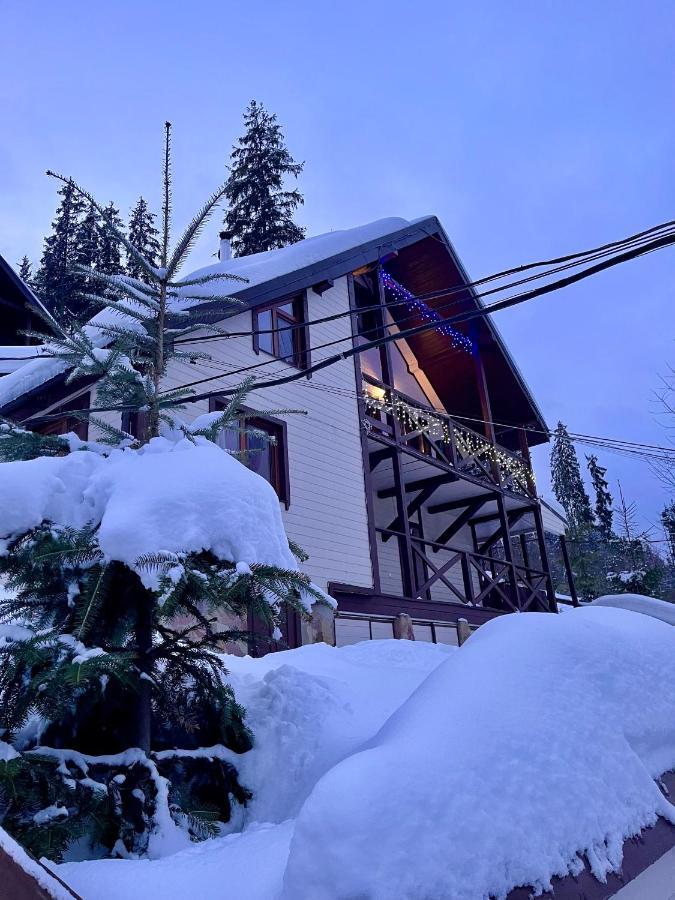 Котедж Chalet Adriana バコヴェル エクステリア 写真