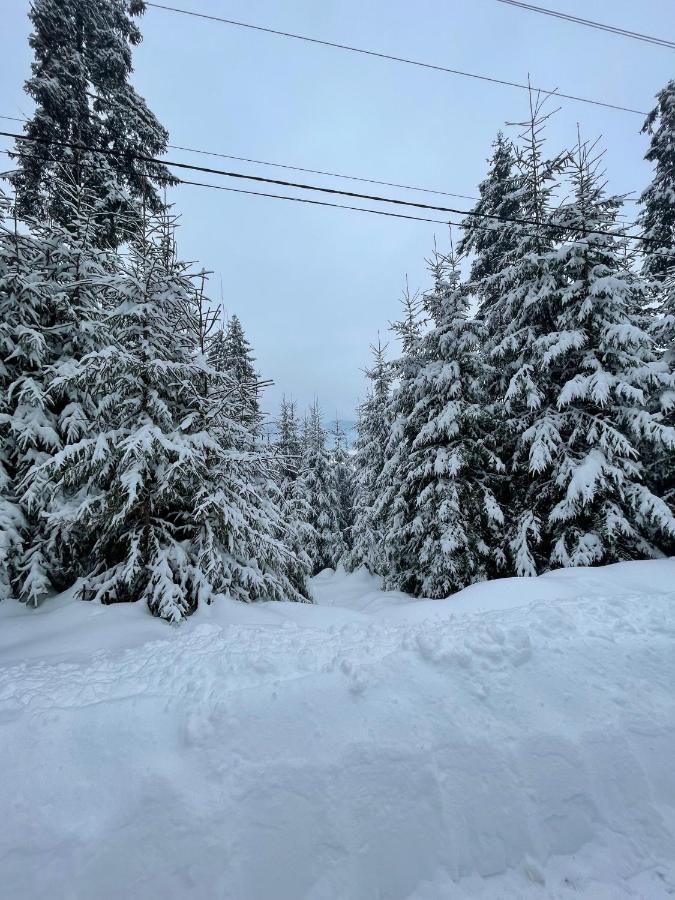 Котедж Chalet Adriana バコヴェル エクステリア 写真