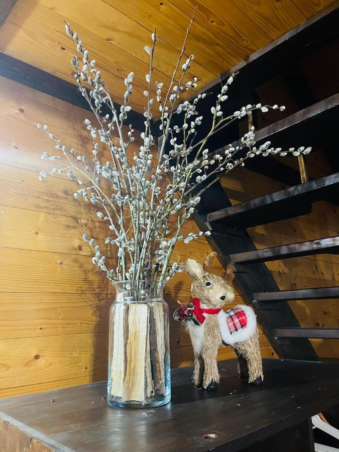 Котедж Chalet Adriana バコヴェル エクステリア 写真