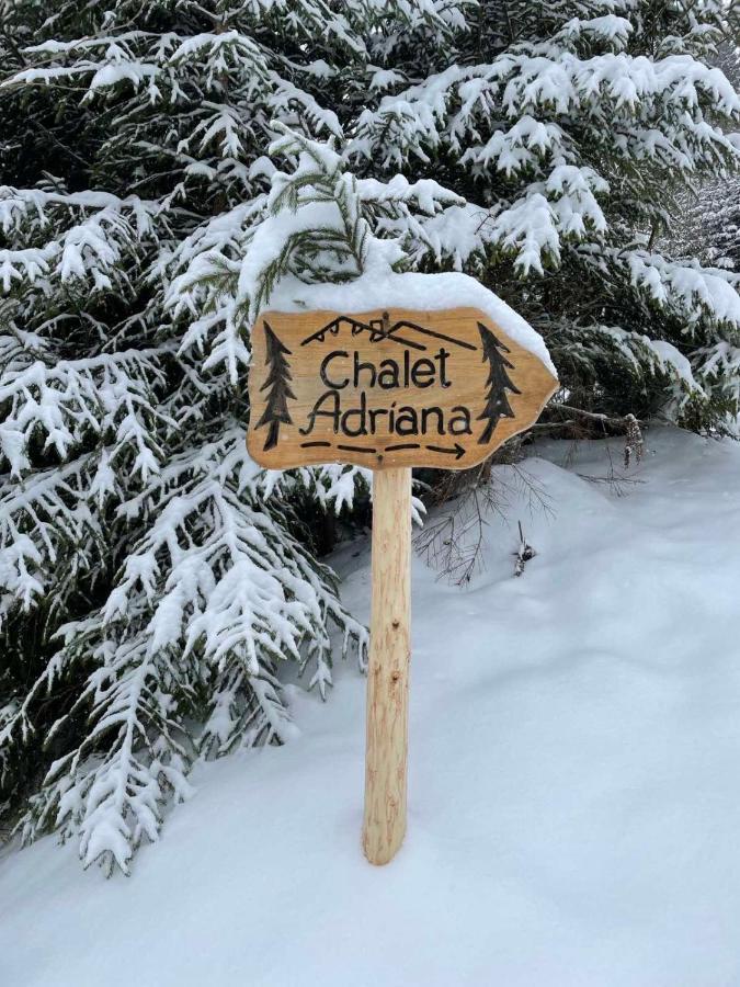 Котедж Chalet Adriana バコヴェル エクステリア 写真